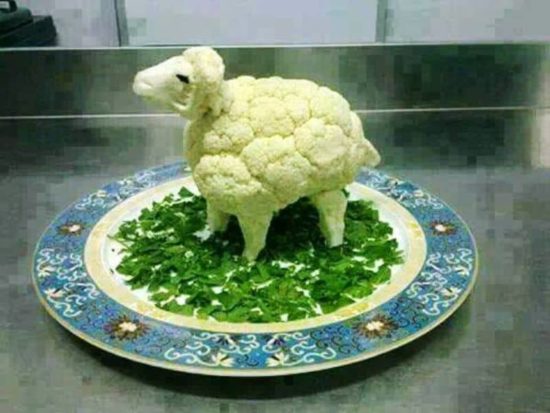 Wie man einen Veganer verunsichert