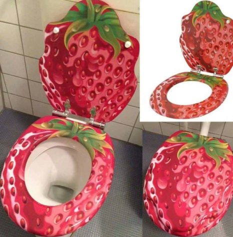 Strawberry toilet