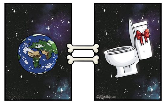 Wie Hunde die Welt sehen