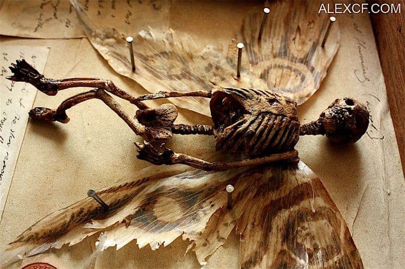 Gruselige Artefakte in Londoner Keller gefunden