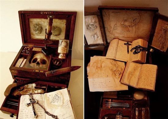 Merrylin Cryptid Collection