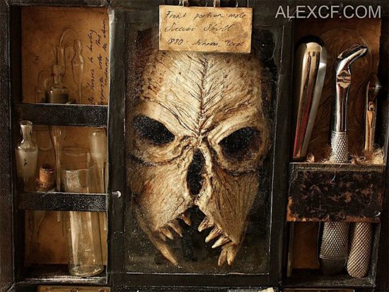 Merrylin Cryptid Collection