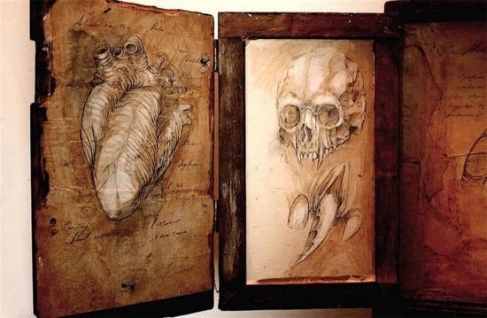 Merrylin Cryptid Collection