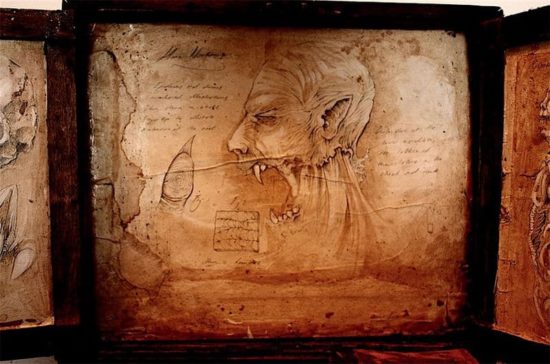 Merrylin Cryptid Collection