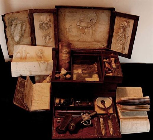 Merrylin Cryptid Collection