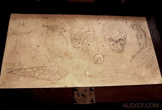 Merrylin Cryptid Collection