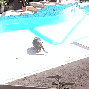 Nicht erschrecken, der Montag ist da!