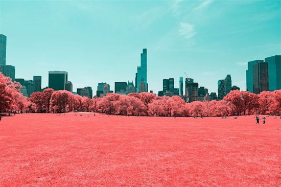 Paolo Pettigiani dips Central Park in cotton candy