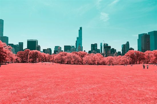 Paolo Pettigiani taucht den Central Park in Zuckerwatte