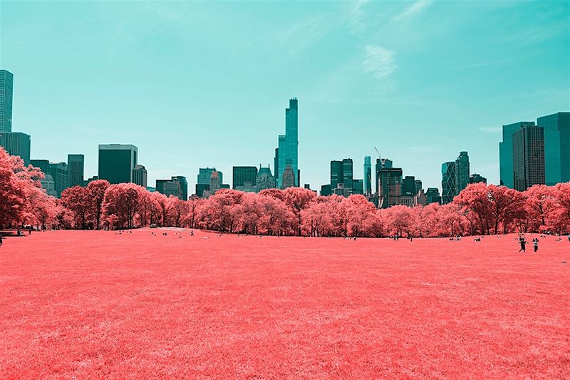Paolo Pettigiani taucht den Central Park in Zuckerwatte