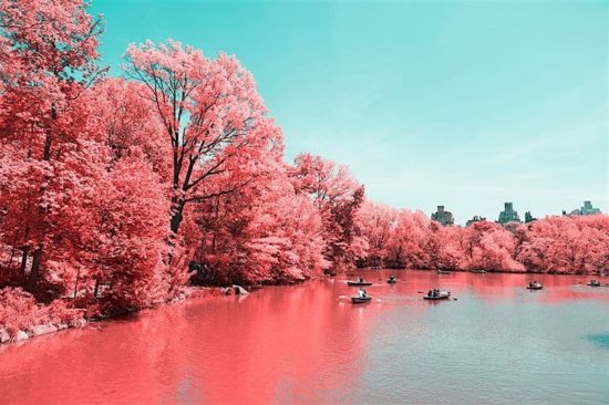 Paolo Pettigiani taucht den Central Park in Zuckerwatte