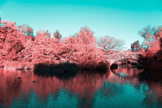 Paolo Pettigiani taucht den Central Park in Zuckerwatte