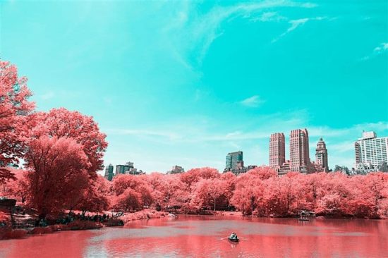 Paolo Pettigiani dips Central Park in cotton candy