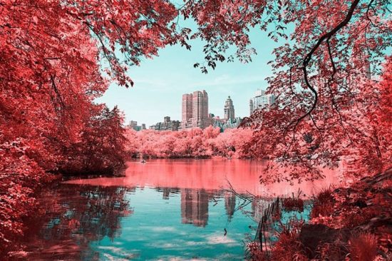 Paolo Pettigiani taucht den Central Park in Zuckerwatte
