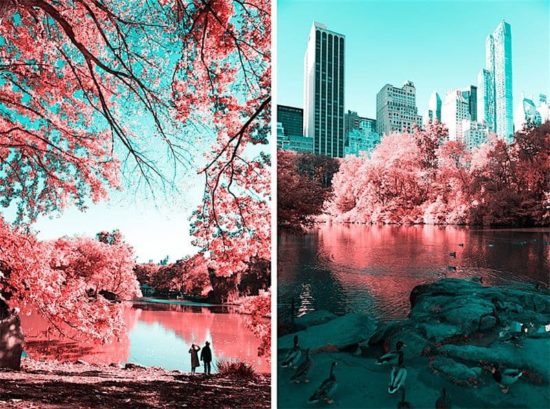 Paolo Pettigiani taucht den Central Park in Zuckerwatte