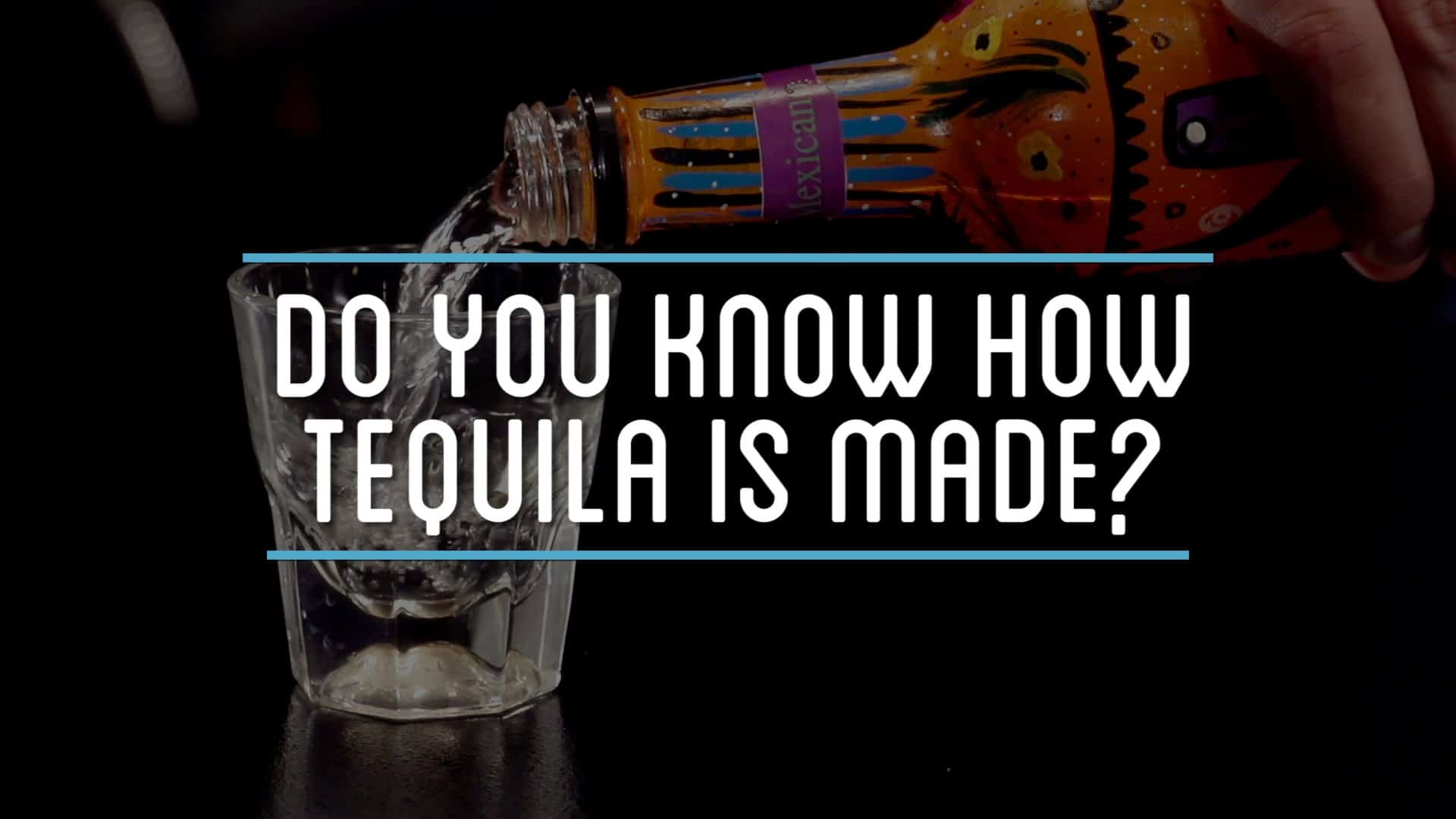 Wie Tequila gemacht wird