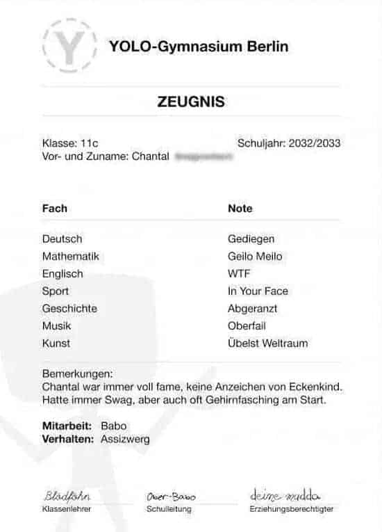 Zeugnis aus dem Jahr 2033