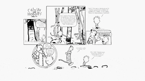Calvin e Hobbes em 3D