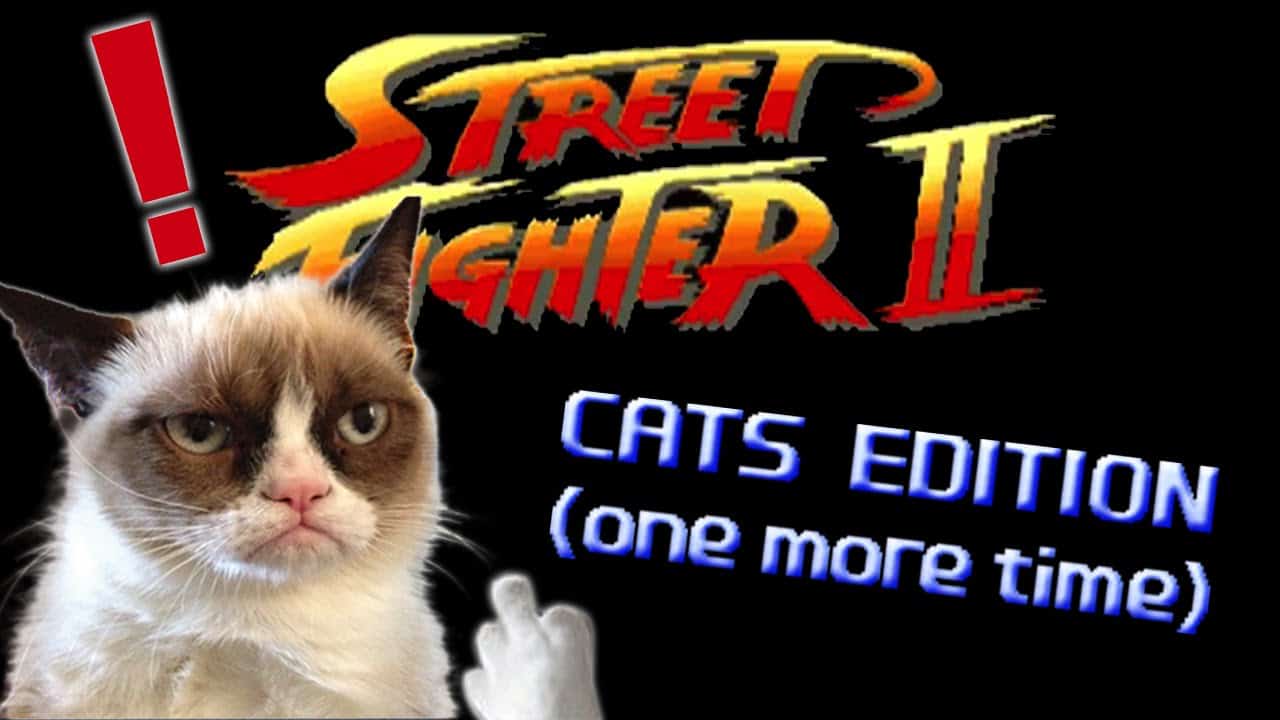 Street Fighter: Cats Edition – one more time)
