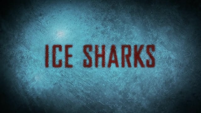 Ice Shark - Трейлер