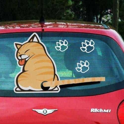 Cat-auton pyyhin