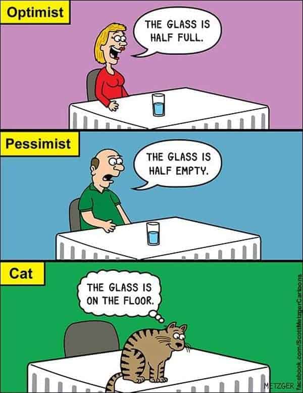 Der Optimist, der Pessimist und die Katze