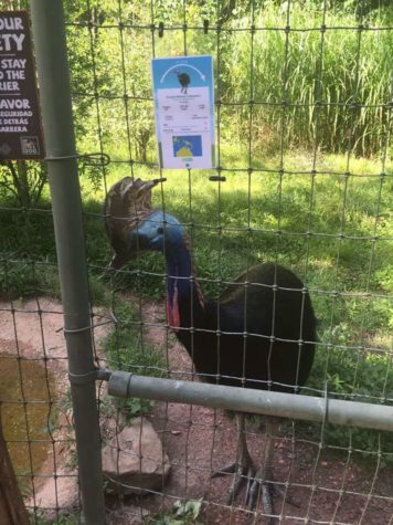 Zoo ersetzt Info-Tafeln mit Pokémon GO-Schildern