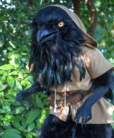 Giant raven costume