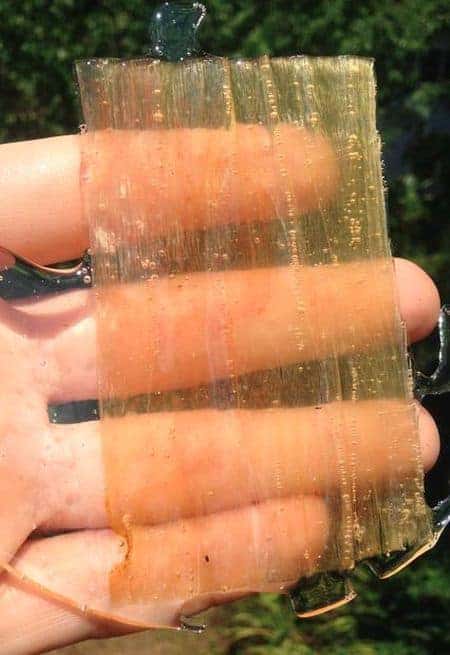 Wie man transparentes Holz macht - How to make transparent wood