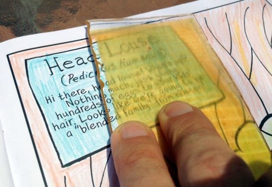 Wie man transparentes Holz macht - How to make transparent wood