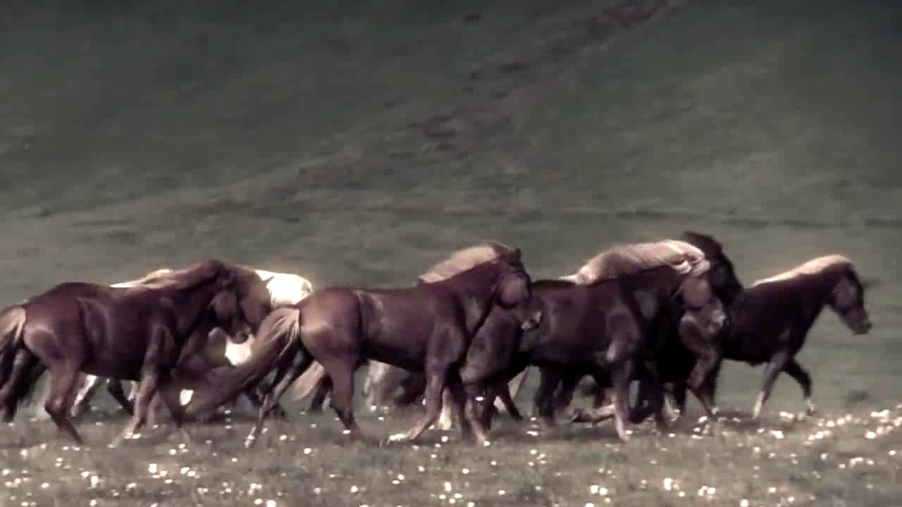 DBD: War Horse – Tengger Cavalry