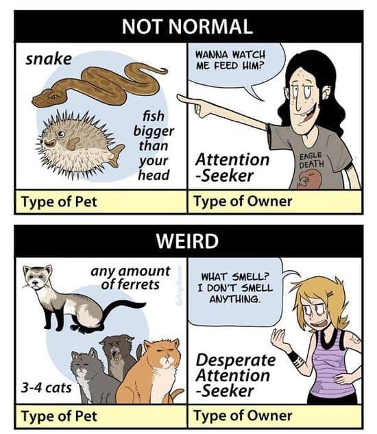 Die Gruseligkeit von Haustierbesitzern