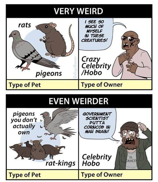 Die Gruseligkeit von Haustierbesitzern