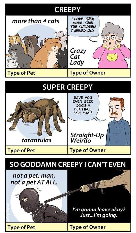 Die Gruseligkeit von Haustierbesitzern