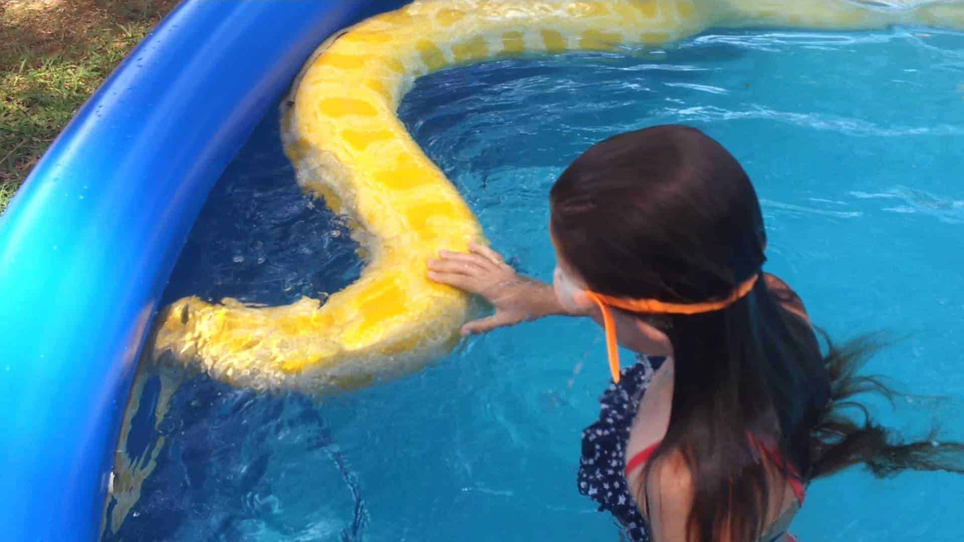 Børn svømmer med kæmpe python