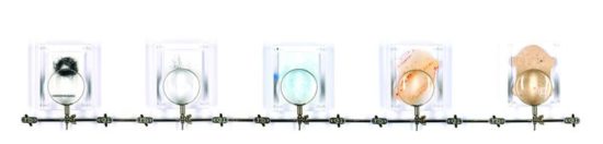 Menschenleder aus Haar-Zellen gezüchtet