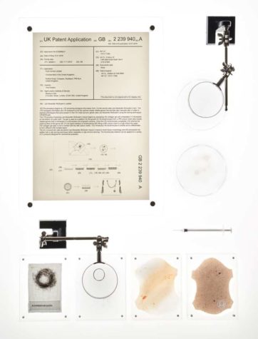 Menschenleder aus Haar-Zellen gezüchtet