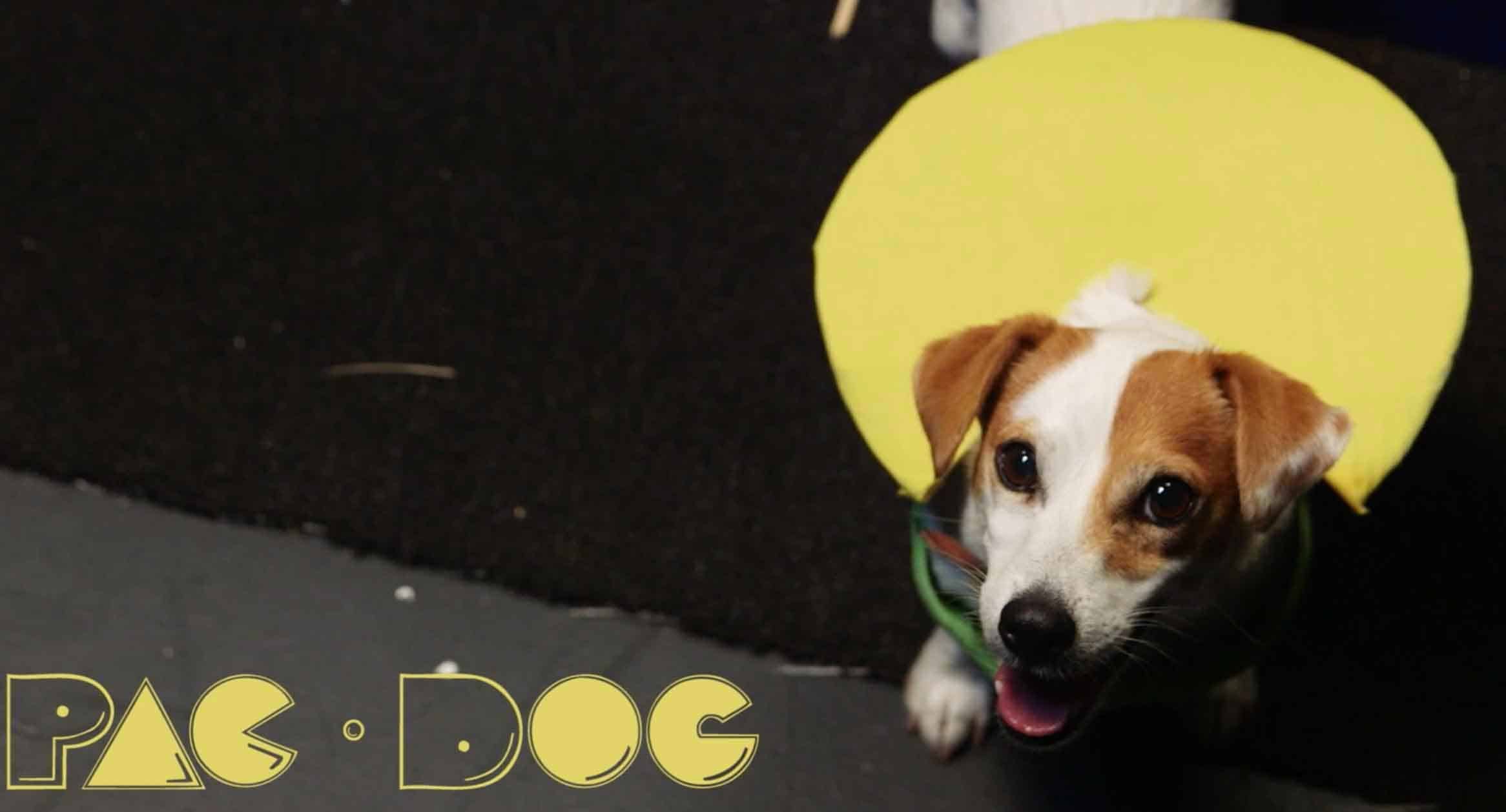 Pac Dog