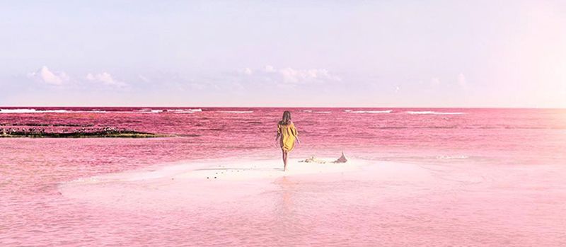 Pinke Lagune in Mexiko