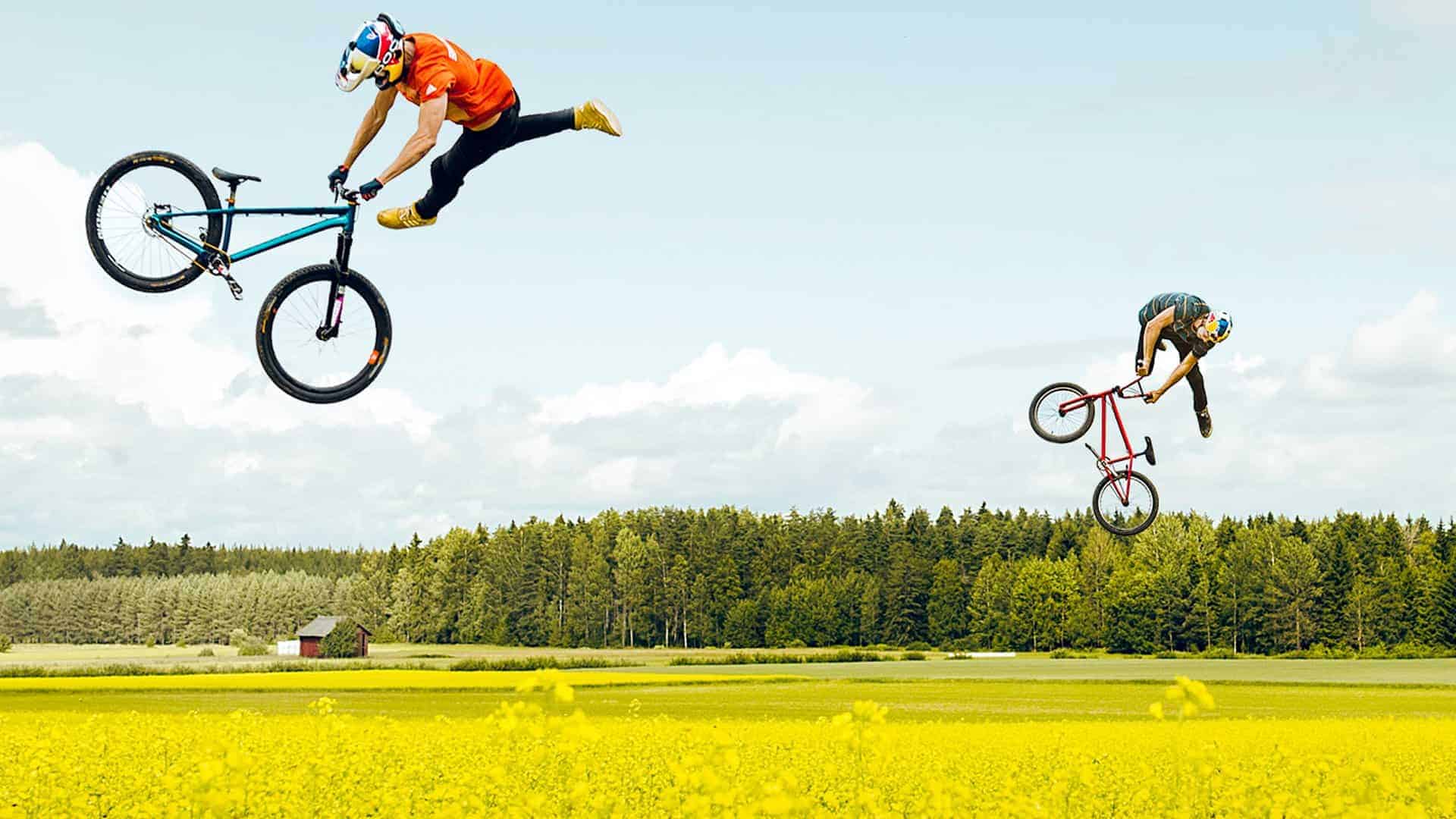 Wenn zwei mit dem BMX durchs Rapsfeld springen