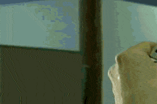 It’s the World Wide Web