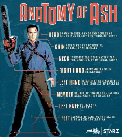 Anatomy of Ash