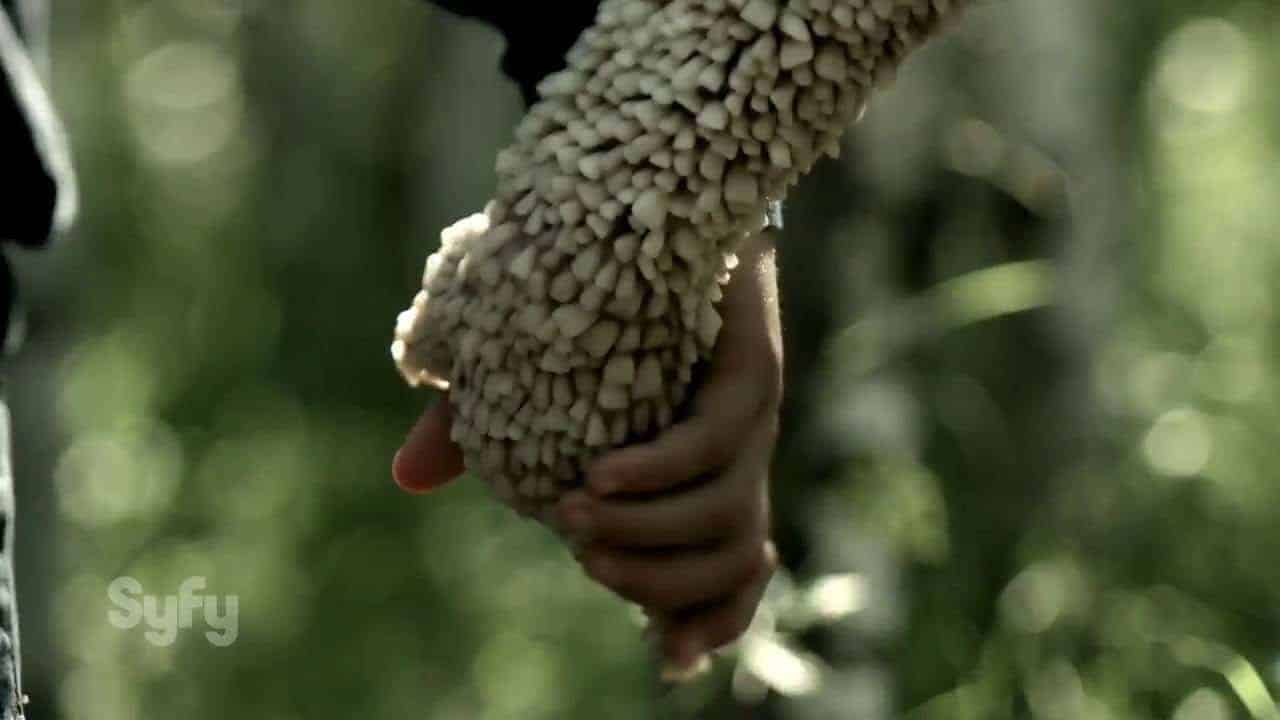 Channel Zero: Candle Cove – Erste Spots