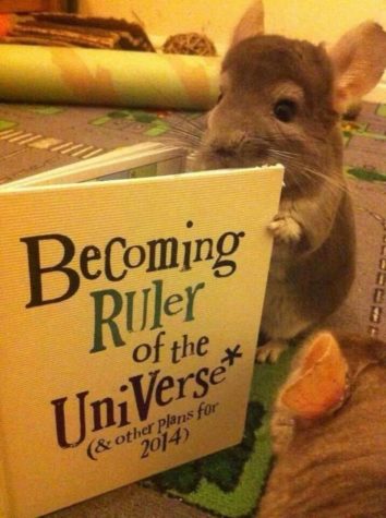 Maus will die Weltherrschaft an sich reissen 