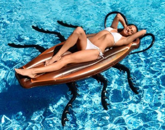 Aufblasbare Kakerlake für den Pool