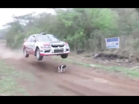 Rallye Glückshund