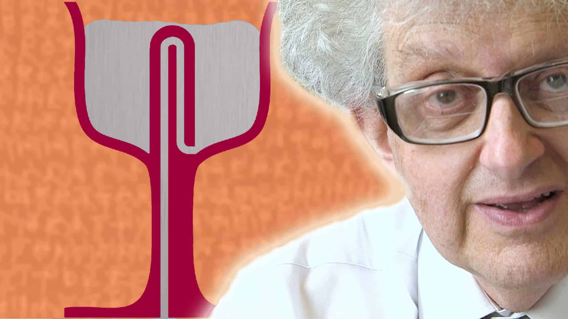 Wie der Pythagoras-Becher funktioniert