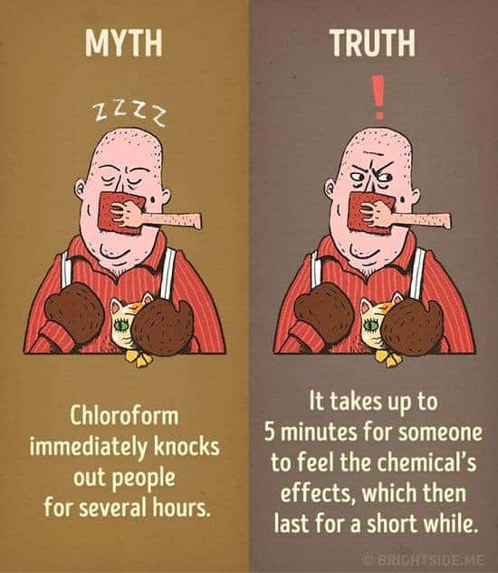 Lenya Brick deckt Film-Mythen auf