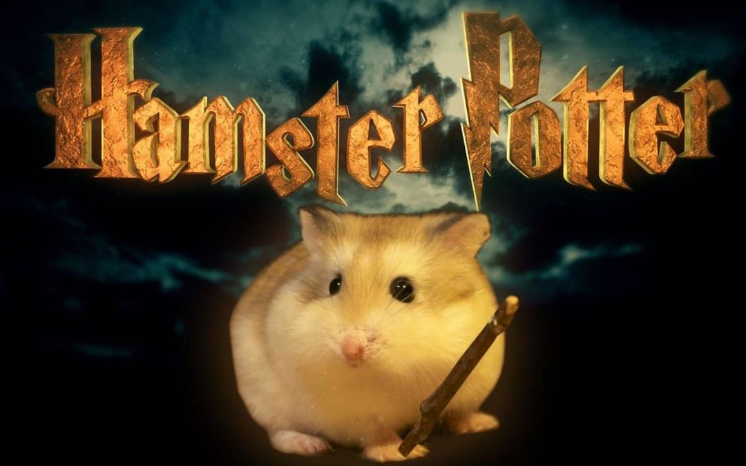 Hamster Potter – Harry Potter mit Hamstern nachgestellt