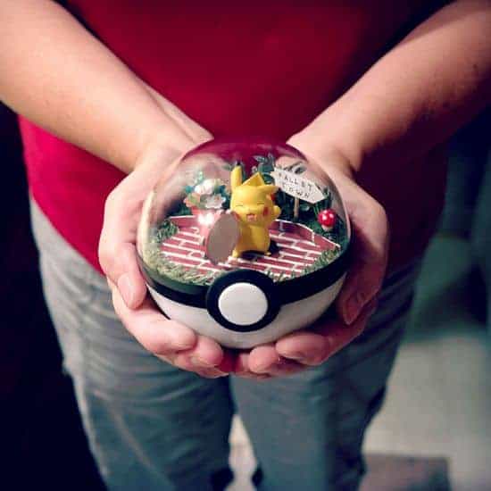 Pokeball Terrarien